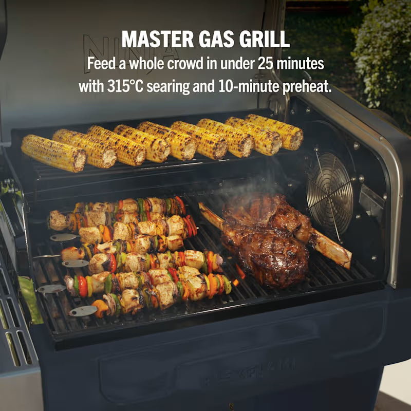 FlexFlame Gas BBQ & Outdoor Cooking System