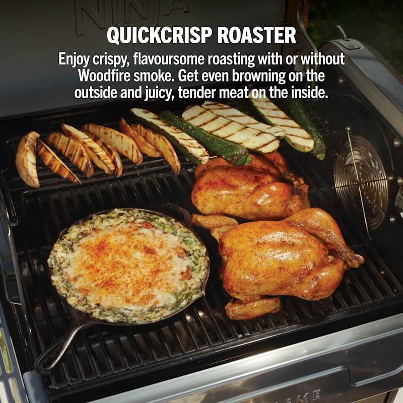 FlexFlame Gas BBQ & Outdoor Cooking System