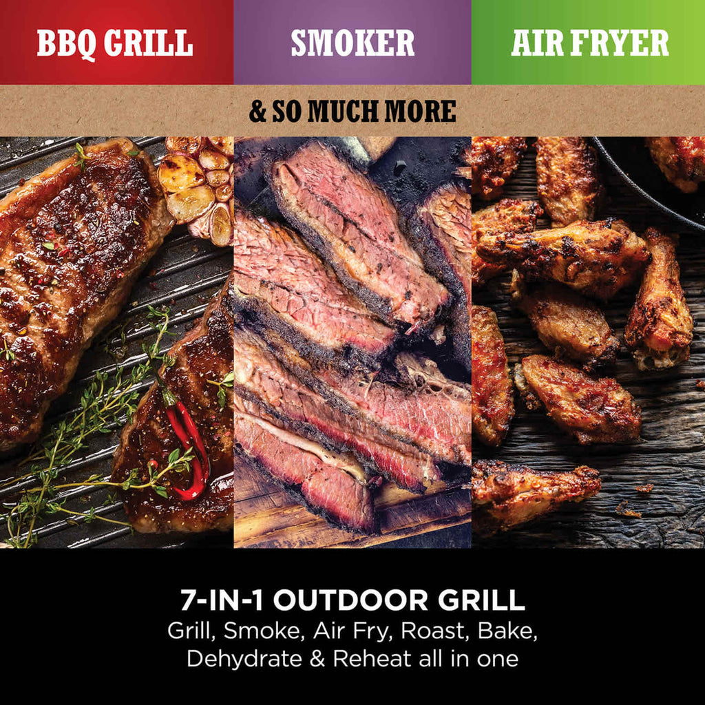 Woodfire Electric BBQ Grill & Smoker