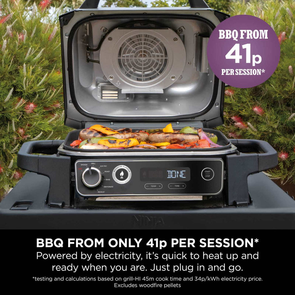 Woodfire Electric BBQ Grill & Smoker