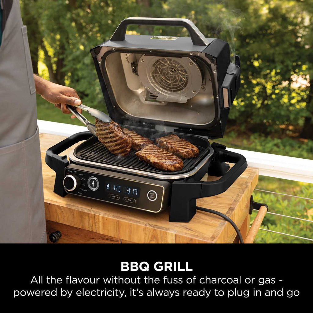 Woodfire Electric BBQ Grill & Smoker