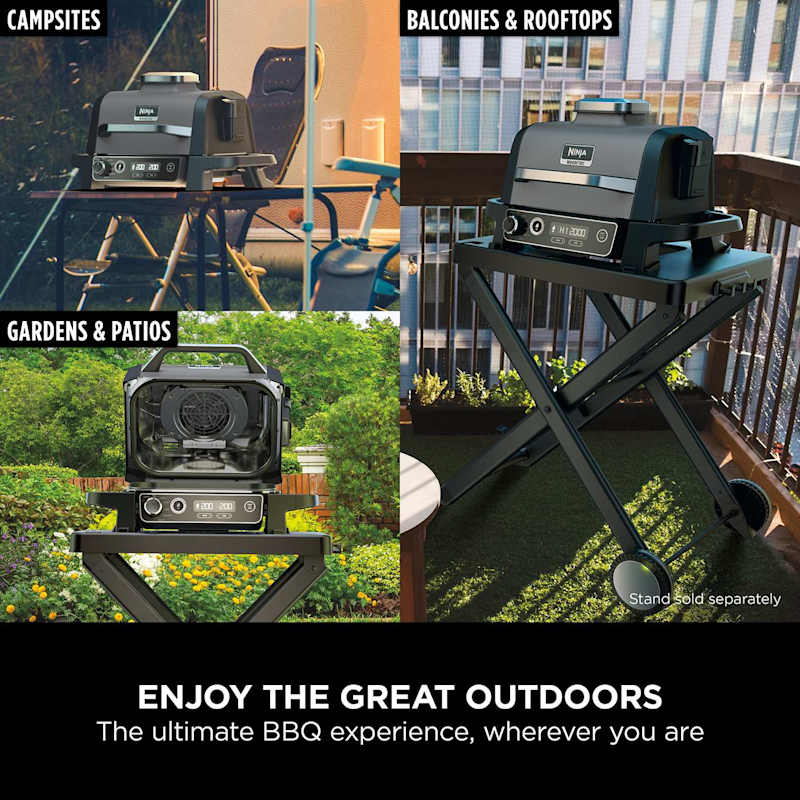 Woodfire Electric BBQ Grill & Smoker with Stand & Cover