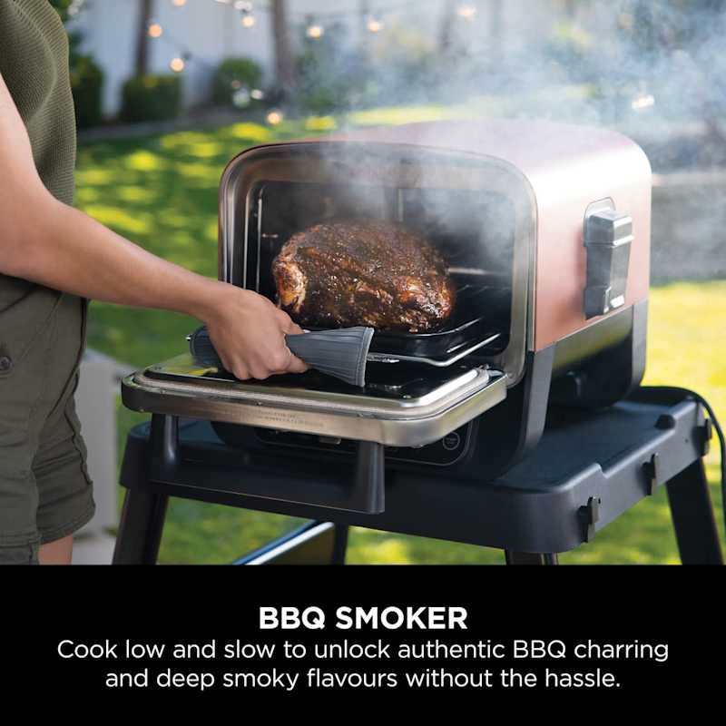 Woodfire Electric Outdoor Oven, Artisan Pizza Maker and BBQ Smoker
