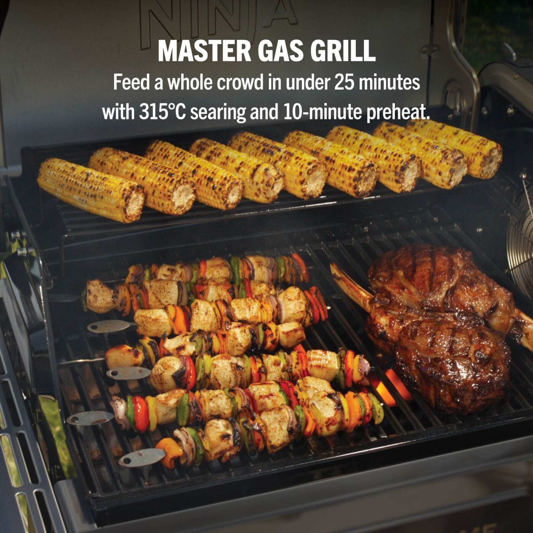 FlexFlame ProConnect Gas BBQ & Outdoor Cooking System Ultimate 5-in-1 Bundle - Black & Stainless Steel
